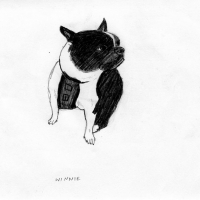 http://www.dannimcgrath.com/files/dimgs/thumb_1x200_4_12_80.jpg