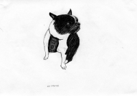 http://www.dannimcgrath.com/files/gimgs/th-12_01_Winnie.jpg