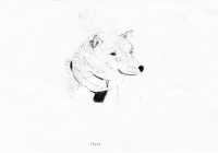 http://www.dannimcgrath.com/files/gimgs/th-12_02_Inu.jpg