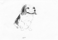 http://www.dannimcgrath.com/files/gimgs/th-12_03_Happy.jpg