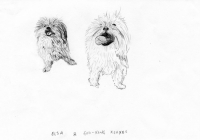 http://www.dannimcgrath.com/files/gimgs/th-12_04_ElsaXerxes.jpg