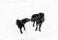 http://www.dannimcgrath.com/files/gimgs/th-12_05_NeroBacon.jpg