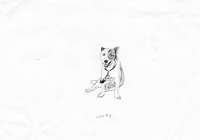 http://www.dannimcgrath.com/files/gimgs/th-12_06_Lucas.jpg