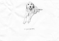 http://www.dannimcgrath.com/files/gimgs/th-12_07_Lightning.jpg