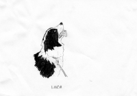 http://www.dannimcgrath.com/files/gimgs/th-12_09_Luca.jpg