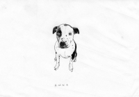 http://www.dannimcgrath.com/files/gimgs/th-12_10_Anna.jpg