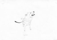 http://www.dannimcgrath.com/files/gimgs/th-12_14_Saskia.jpg