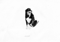 http://www.dannimcgrath.com/files/gimgs/th-12_19_Casper.jpg