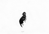 http://www.dannimcgrath.com/files/gimgs/th-12_25_Poppy.jpg