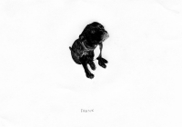 http://www.dannimcgrath.com/files/gimgs/th-12_26_Frank.jpg