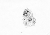http://www.dannimcgrath.com/files/gimgs/th-12_30_Billie.jpg