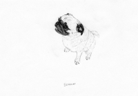 http://www.dannimcgrath.com/files/gimgs/th-12_32_Scarlet.jpg