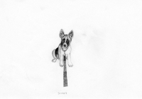 http://www.dannimcgrath.com/files/gimgs/th-12_35_Scout.jpg