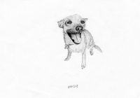 http://www.dannimcgrath.com/files/gimgs/th-12_36_Maisie.jpg