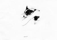 http://www.dannimcgrath.com/files/gimgs/th-12_39_Mino.jpg