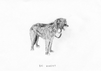 http://www.dannimcgrath.com/files/gimgs/th-12_40_Murphy.jpg