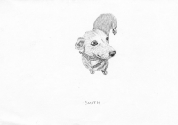 http://www.dannimcgrath.com/files/gimgs/th-12_41_Smith.jpg