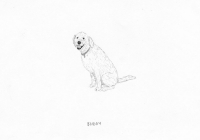 http://www.dannimcgrath.com/files/gimgs/th-12_42_Buddy.jpg